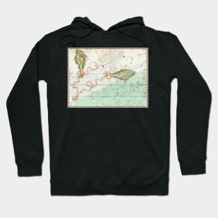 Pisces astrological art Hoodie